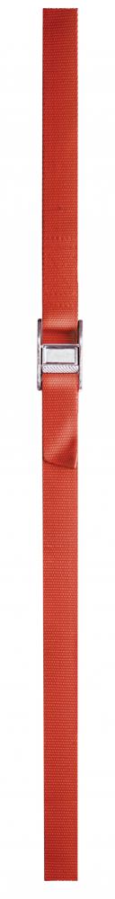 DOTTIE WS02