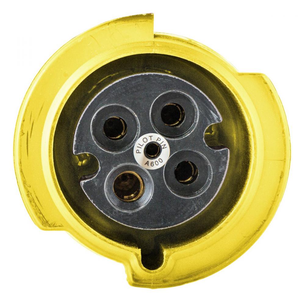 PS, IEC, CONN, 2P3W, 60A 125V, W/T,PILOT
