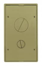 Hubbell Wiring Device-Kellems 2GTFFCVRBRS - 2G TILE FF CVR, BRASS POWDER