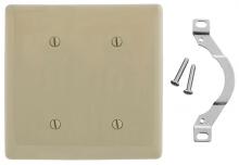 Hubbell Wiring Device-Kellems NP24I - WALLPLATE, 2-G, 2 STRP MT BLANK, IV