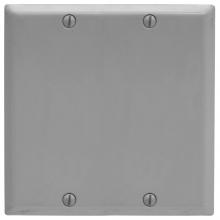 Hubbell Wiring Device-Kellems SP24BG - PLATE, 2-G BLANK, BOX MT, STEEL, GY