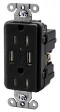 Hubbell Wiring Device-Kellems USB15X2BK - HBL RR15I