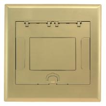 Hubbell Wiring Device-Kellems 4GAFBCVRBRSC - 4G AFB CVR, INSERT, BRASS POWDER