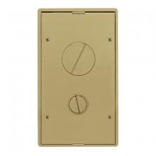 Hubbell Wiring Device-Kellems 24GTFFCVRBRS - 2/4G TILE FF CVR, BRASS POWDER