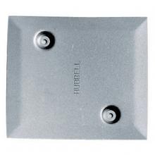 Hubbell Wiring Device-Kellems AP22 - FRPT ADANDONMENT PLATE, 2"