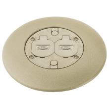 Hubbell Wiring Device-Kellems FRFIA - FLUSH FRPT 3 SERV FTG, IV