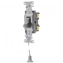 Hubbell Wiring Device-Kellems HBL1221GHCS - SWITCH, HOSP CALL, SP, 20A, GY