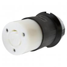Hubbell Wiring Device-Kellems HBL2313 - HBL HBL2313