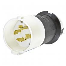 Hubbell Wiring Device-Kellems HBL2421S - LKG S/SHRD PLUG, 20A 3P 250V, L15-20P