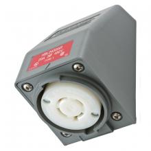 Hubbell Wiring Device-Kellems HBL2430AR - LKG S/SHRD RCPT, L16-20R, ANG SRF MT