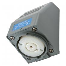 Hubbell Wiring Device-Kellems HBL2510AR - LKG S/SHRD RCPT, L21-20R, ANG SRF MT