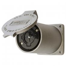 Hubbell Wiring Device-Kellems HBL26420 - HBL HBL26420