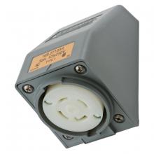 Hubbell Wiring Device-Kellems HBL2710AR - LKG S/SHRD RCPT, L14-30R, ANG SRF MT,GY