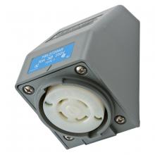 Hubbell Wiring Device-Kellems HBL2720AR - LKG S/SHRD RCPT, L15-30R, ANG SRF MT,GY