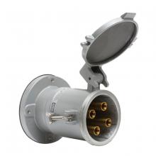 Hubbell Wiring Device-Kellems HBL4200RS1WR - HBL HBL4200RS1WR