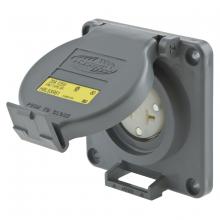 Hubbell Wiring Device-Kellems HBL53R61 - REP RCPT, SPIDER 20A STRAIGHT BLADE