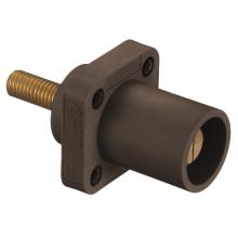 Hubbell Wiring Device-Kellems HBLMRSBN - SINGLEPOLE, 300/400A MALE STUD RECEP, BR