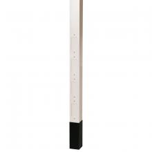Hubbell Wiring Device-Kellems HBLPPOOW - SVCE POLE, 10'2", BLANK /DIVIDER, OW
