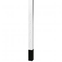 Hubbell Wiring Device-Kellems HBLPPO12W - SVCE POLE, 12'2", BLANK /DIVIDER, WHT