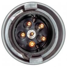 Hubbell Wiring Device-Kellems HBL460P5WP - IEC,PLUG,3P4W, 60A 3P 600V4X/IP69K,PILOT