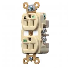Hubbell Wiring Device-Kellems IG5262IWR - WR RCPT, DUP, SB, IG HG, 15A 125V, IV