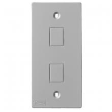 Hubbell Wiring Device-Kellems KP2162GY - KP 2 JACKS, GRAY
