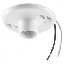 Hubbell Wiring Device-Kellems RL8506 - LAMPHLDR, 600W 600V, KEYLESS, 6" L, NM