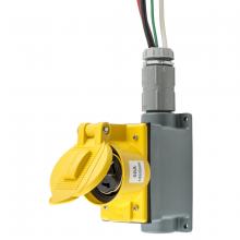 Hubbell Wiring Device-Kellems SR50 - WALL MT RCPT, PREWIRED, 50A 125/250V